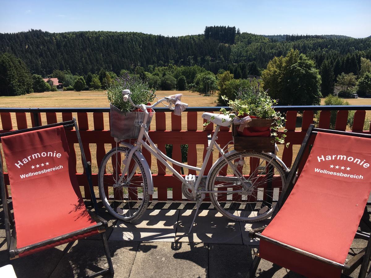 Harmonie Hotel Rust Hohegeiß Kültér fotó